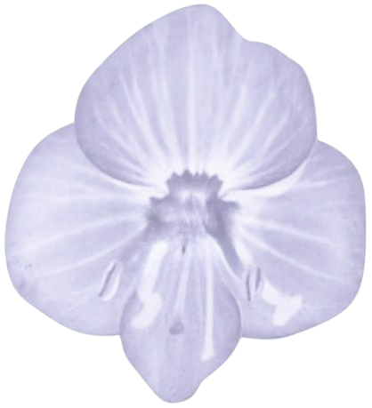 Réflexologie Champagnole