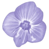 Baune Entretien Sapois